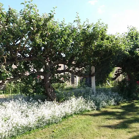 Nyaraló Spacieux A Croisilles, 7 Pers, Terrasse Sud, Parking, Wifi, Proche Arras, Parc Expo, Base Nautique - Fr-1-376-63 *